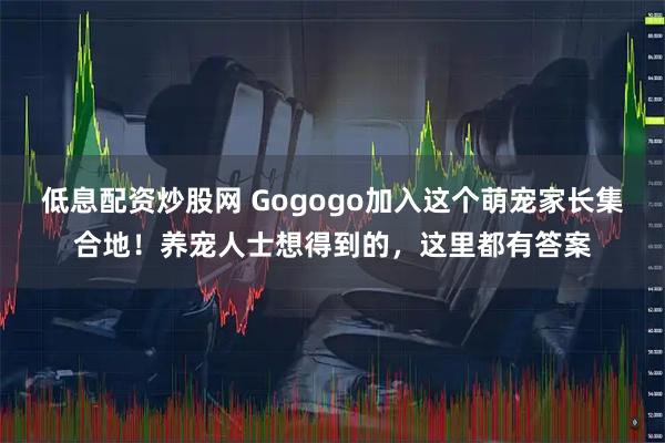 低息配资炒股网 Gogogo加入这个萌宠家长集合地！养宠人士想得到的，这里都有答案